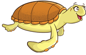 The tale of Eartha the Sea Turtle